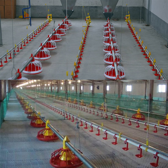 Automatic feeding line