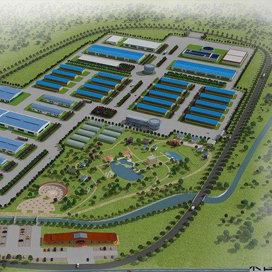 Chicken farm layout