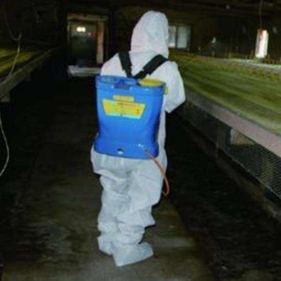 Method for disinfecting chicken farms