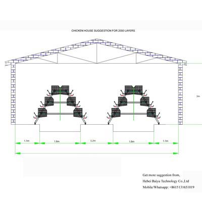 Chicken farm suggestion for 2000 layers