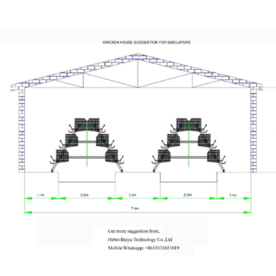 Chicken farm suggestion for 5000 layers