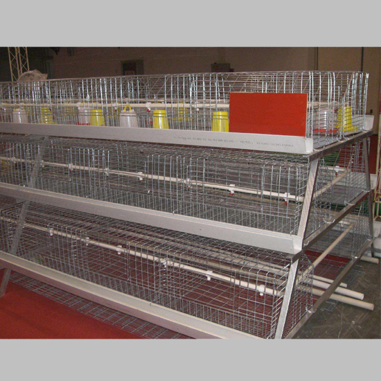 A type broiler cage