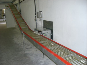 Automatic egg collecting system