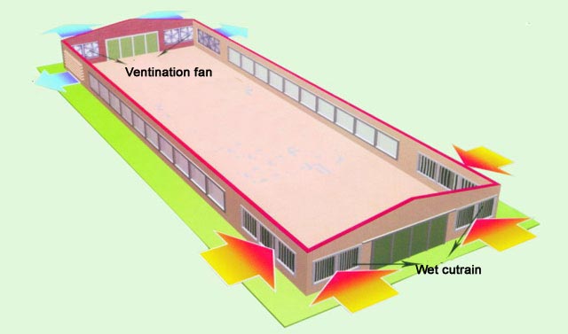 The environmental factors for the chicken farm