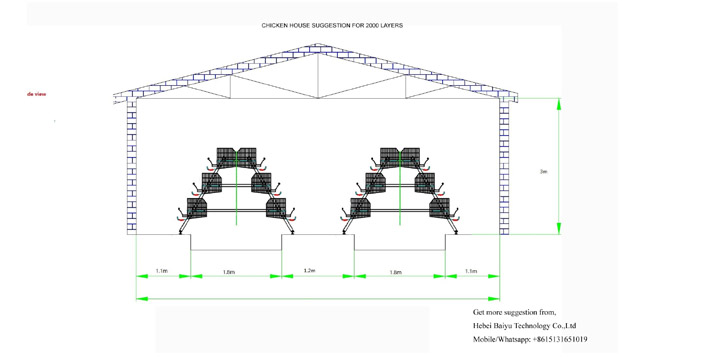 Chicken farm suggestion for 2000 layers