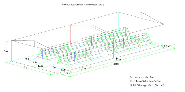 Chicken farm suggestion for 2000 layers