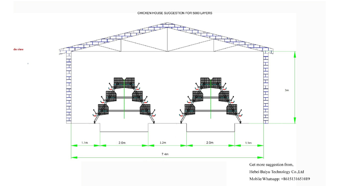 Chicken farm suggestion for 5000 layers