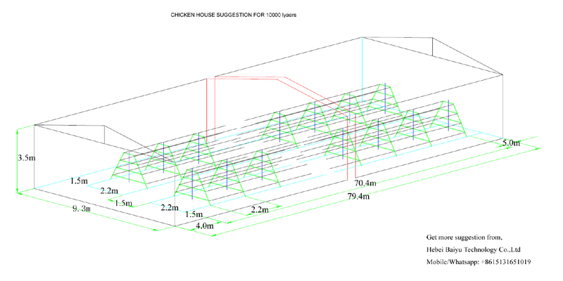 Chicken farm suggestion for 10000 layers