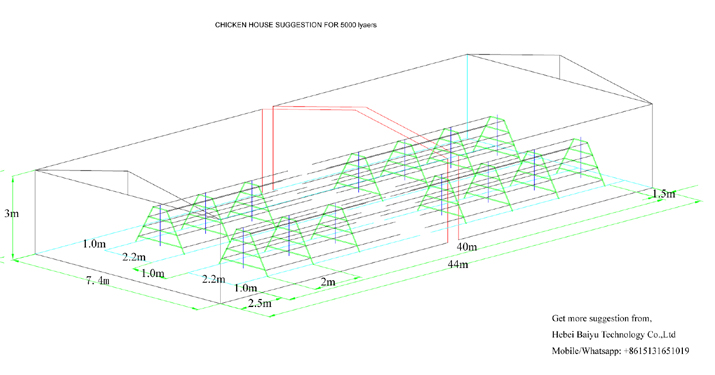 Chicken farm suggestion for 5000 layers