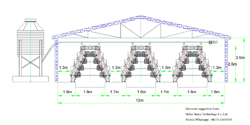 Chicken farm suggestion for 30000 layers